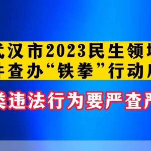 315严打是什么意思:2021年315严打什么时候结束