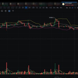 关于马斯克叫停比特币买车比特币跳水的信息