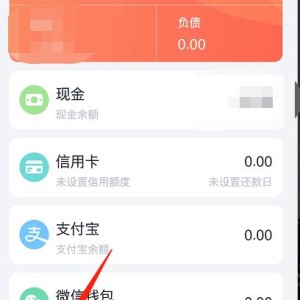 钱包网记账:钱包平台正规吗