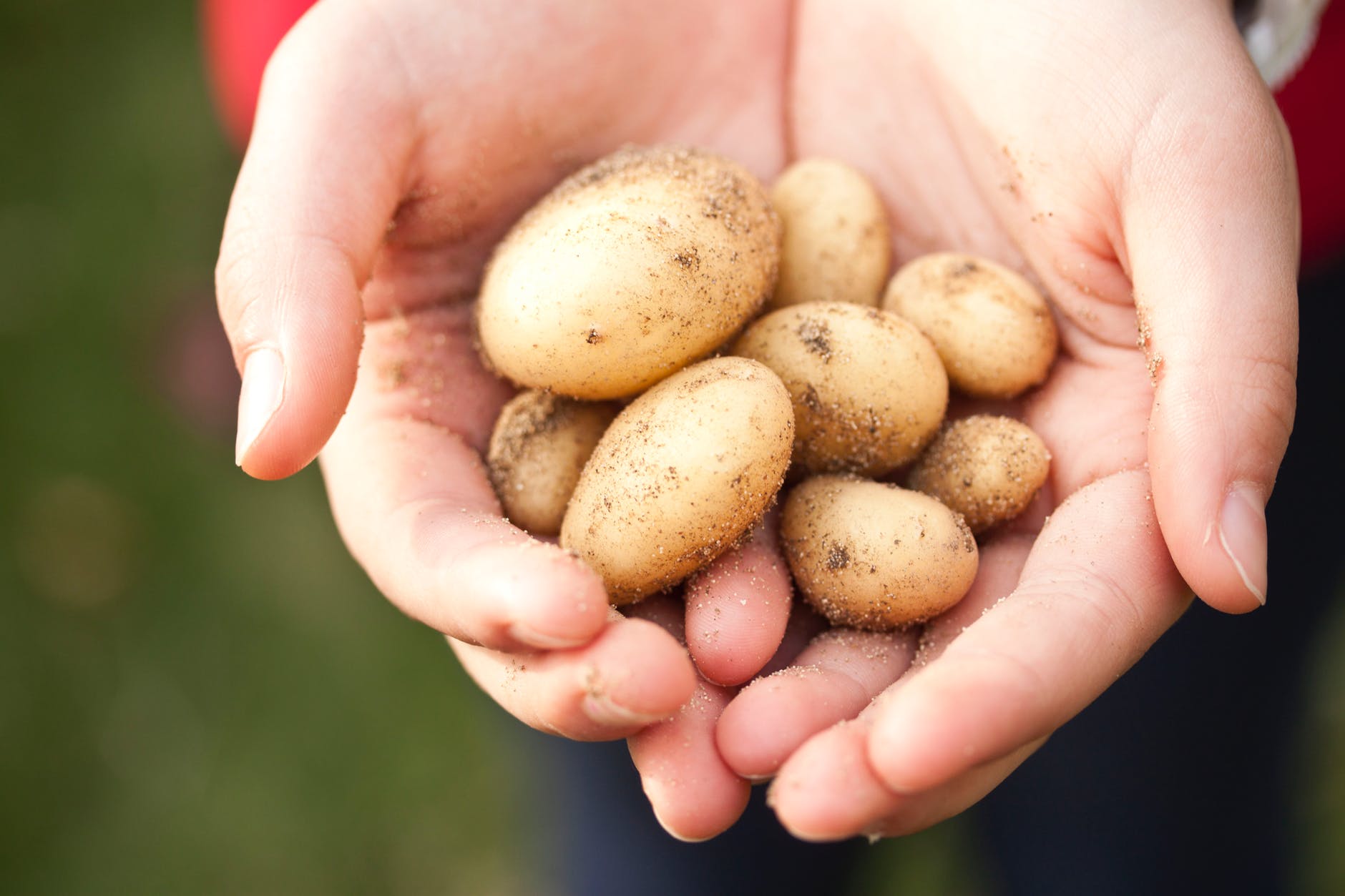 土豆:potato土豆官方最新版本下载