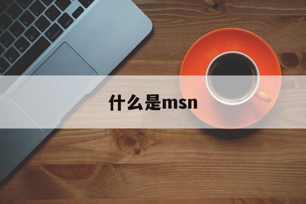 什么是msn:(MSN是什么软件)