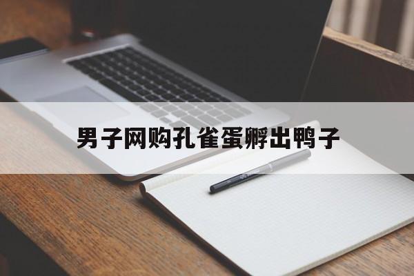 男子网购孔雀蛋孵出鸭子:(网上买的孔雀蛋可以孵化吗)