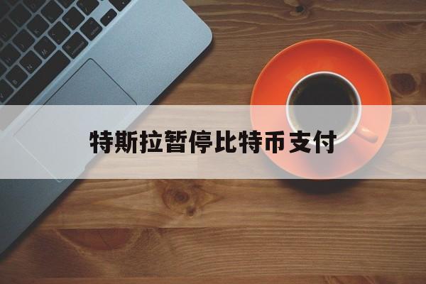 特斯拉暂停比特币支付:(为什么中国不允许交易比特币)