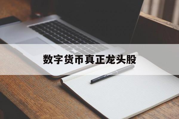 数字货币真正龙头股:(普通人怎样投资数字经济)